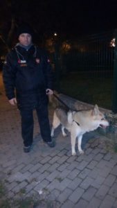 Dog Sitter Sitter Piave APACHE