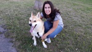 Dog Sitter - Sitter Piave - APACHE