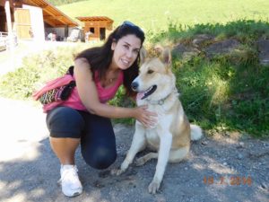 Dog Sitter Sitter Piave DINO